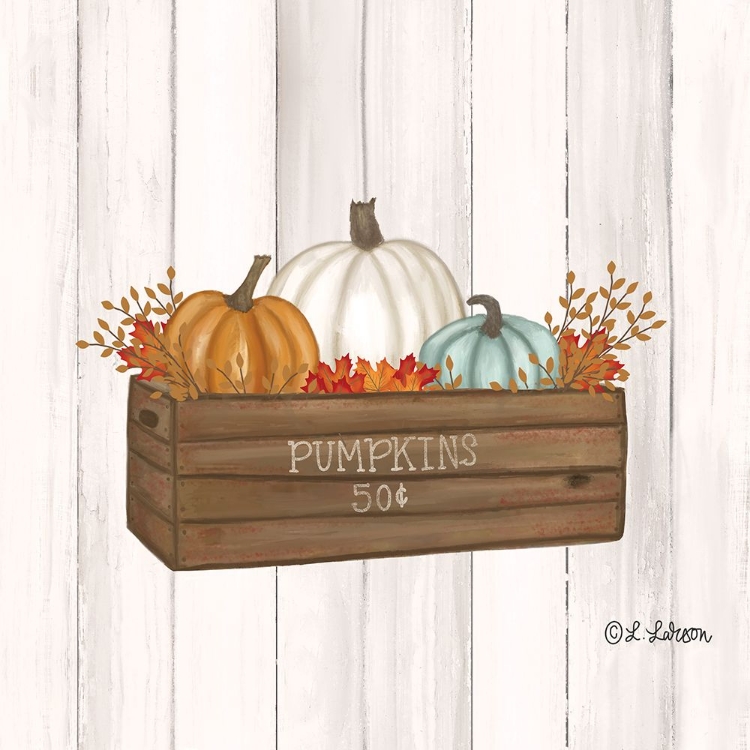 Picture of PUMPKINS IN BOX