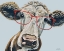Picture of CORA THE COW
