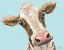 Picture of MOO MOO LOOKING AT YOU