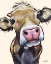 Picture of HAZEL THE COW