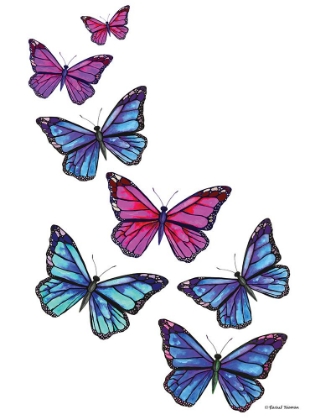 Picture of VIBRANT FLYING BUTTERFLIES