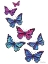 Picture of VIBRANT FLYING BUTTERFLIES