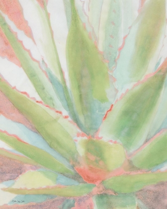 Picture of SUCCULENT BLOOM 1