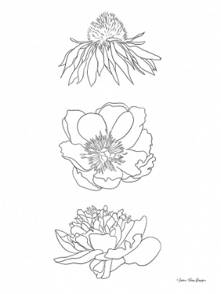 Picture of HAND DRAWN FLOWERS
