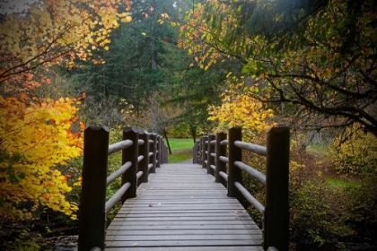 Picture of AUTUMNS BRIDGE 