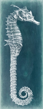 Picture of AZURE SEAHORSE II