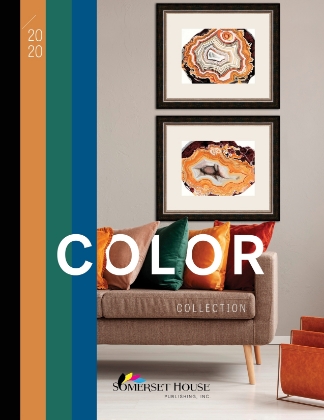 Picture of Color 2020 Catalog
