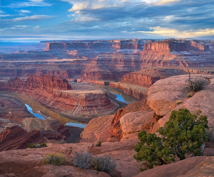 Picture of COLORADO RIVER FROM DEADHORSE POINT, CANYONLANDS NATIONAL PARK, UTAH