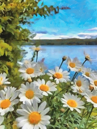 Picture of DAISIES BY THE LAKE
