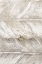 Picture of LEAF OVERLAY I 