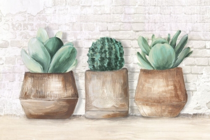 Picture of THREE CACTUS 