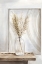 Picture of DRY PAMPAS GRASS I 
