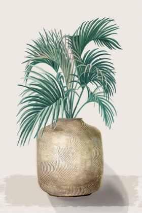 Picture of PALM PLANT