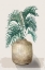 Picture of PALM PLANT