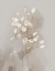 Picture of TRANSPARENT I 
