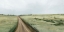 Picture of COUNTRY ROAD 