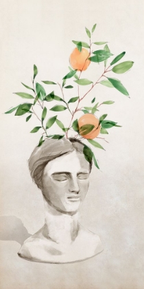Picture of HEAD PLANTER II