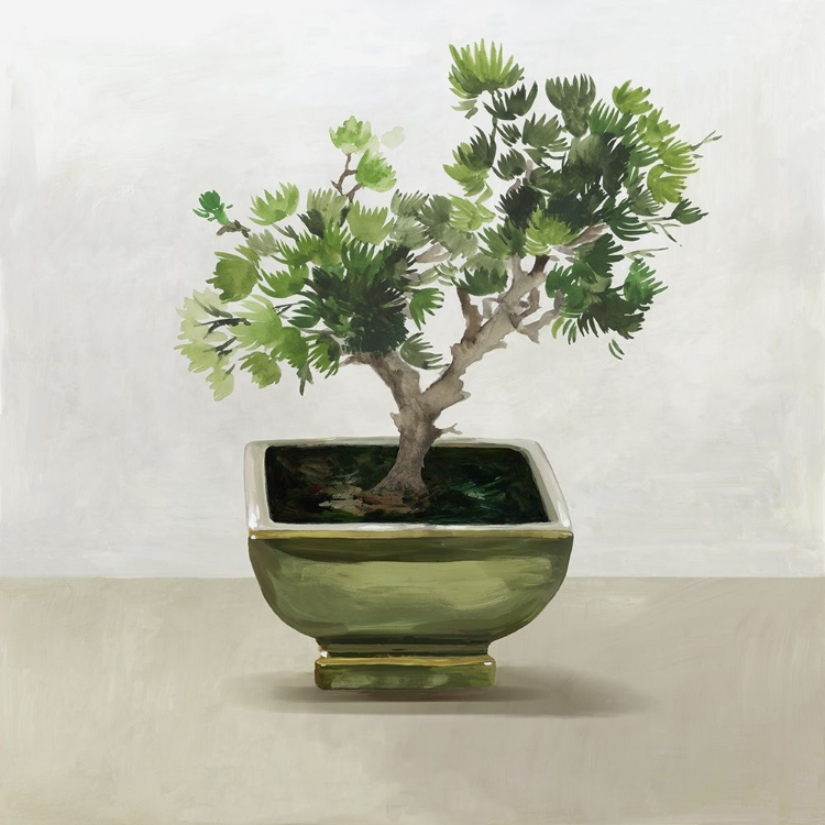 Picture of BONSAI TREE I 