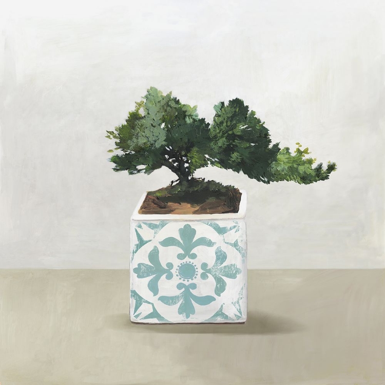 Picture of BONSAI TREE II