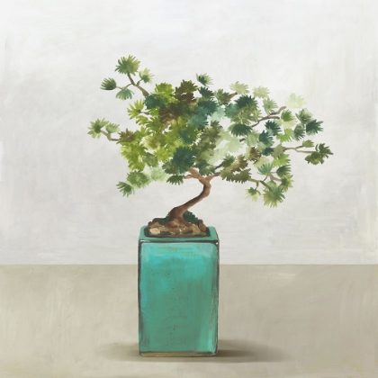 Picture of BONSAI TREE III