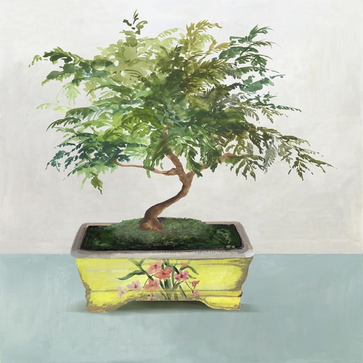 Picture of BONSAI TREE IV