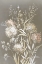 Picture of DELICATE BUNCH II