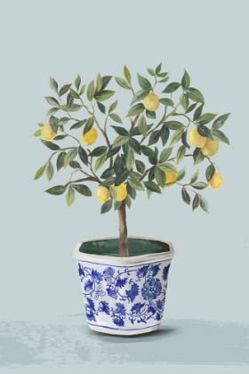 Picture of LEMON TREE 