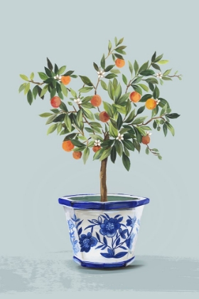 Picture of ORANGE TREE