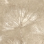 Picture of GOLDEN FALL LEAVES II