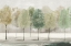 Picture of GREEN FOREST 