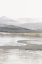 Picture of GREY MOUNTAIN I 