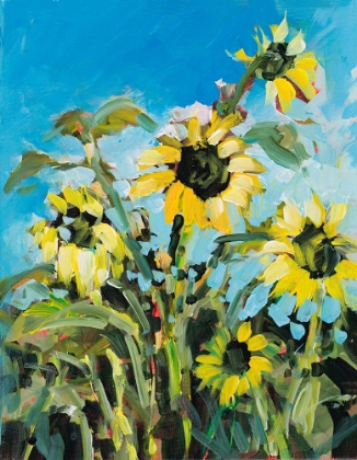 Picture of SUNFLOWERS