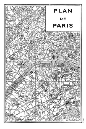 Picture of INVERTED PARIS MAP