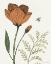 Picture of SPRINGTIME I WARM