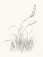 Picture of FARM NOSTALGIA FLOWERS IV DARK GRAY