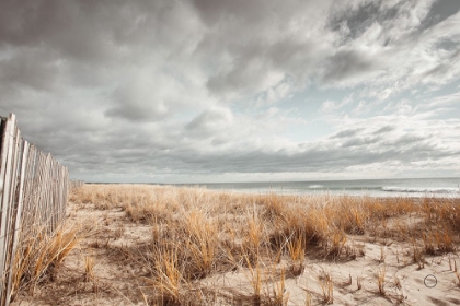 Picture of ATLANTIC COAST AFTERNOON