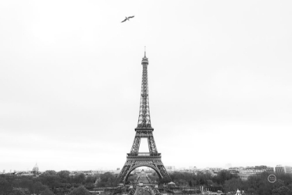Picture of A BIRDS VIEW OF PARIS CROP I