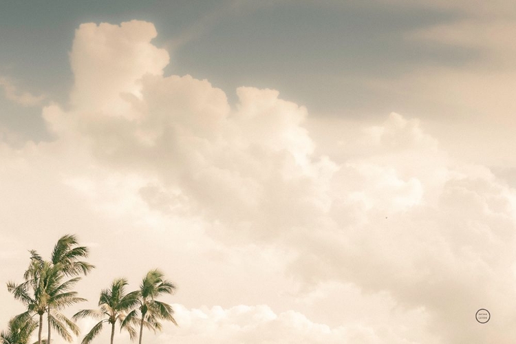 Picture of LONE BIRD OCEAN VIEW