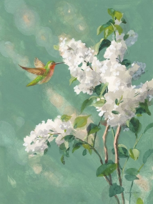 Picture of HUMMINGBIRD SPRING I