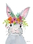 Picture of SWEET RABBIT