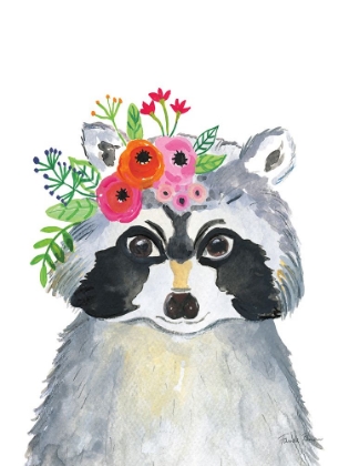 Picture of SWEET RACCOON