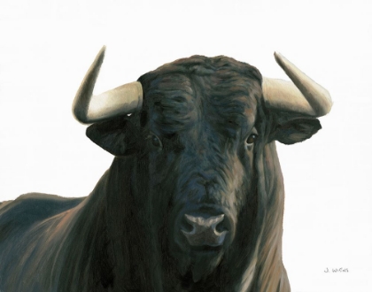 Picture of BULLISH