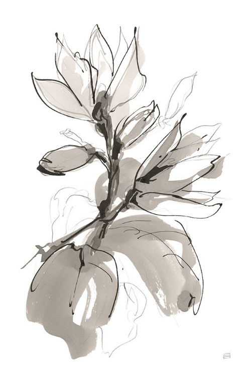 Picture of MAGNOLIA I