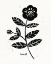 Picture of BOLD BLOOMS IV