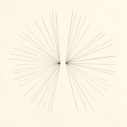 Picture of PRINTED GOLDEN BURST I