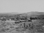 Picture of OREANA-NEVADA