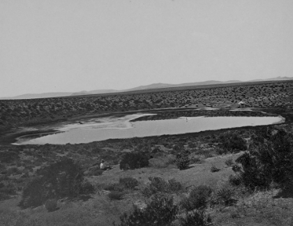 Picture of SODA LAKE-RAGTOWN-NEVADA