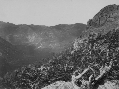 Picture of SUMMIT-HUMBOLDT MOUNTAINS-NEVADA