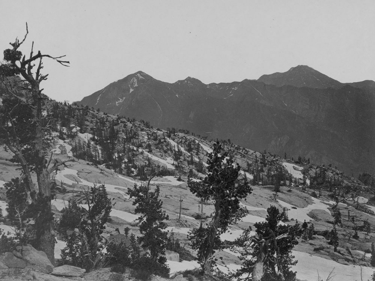 Picture of SUMMIT WAHSATCH MOUNTAINS-UTAH