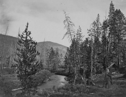 Picture of UPPER BEAR RIVER-UTAH